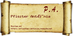Pfiszter Antónia névjegykártya