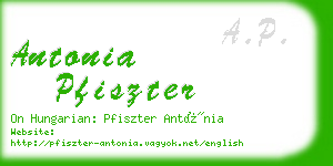 antonia pfiszter business card